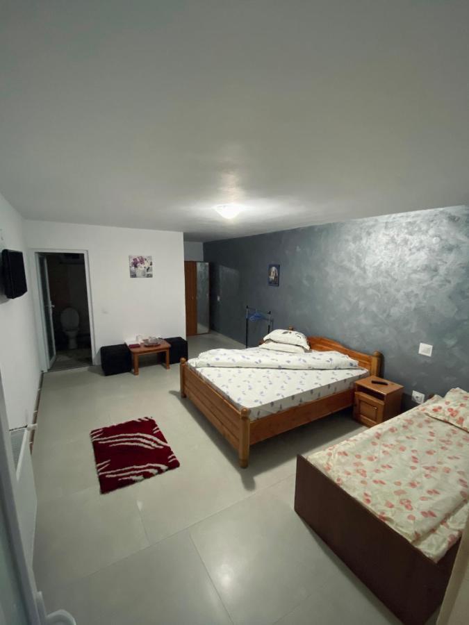 Hotel Casa Alex à Novaci-Străini Extérieur photo